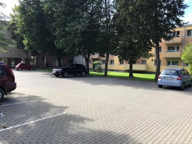 City Central Apartment Palanga Bagian luar foto